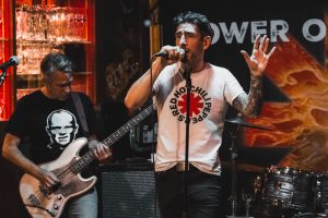Chanteur en concert